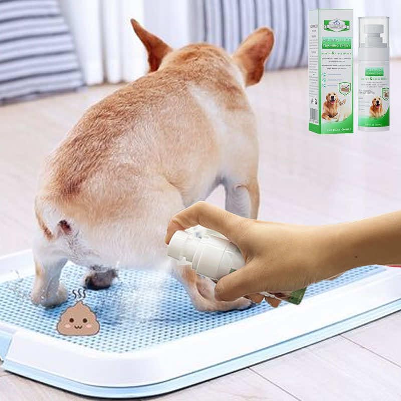 
                  
                    Pet Behavior Training Spray, Potty Training Aid for Indoor and Outdoor Dogs and Puppies, My Dog Peed Again, Prevent Your Pet from Soiling The Carpet - 1.69 Oz.
                  
                