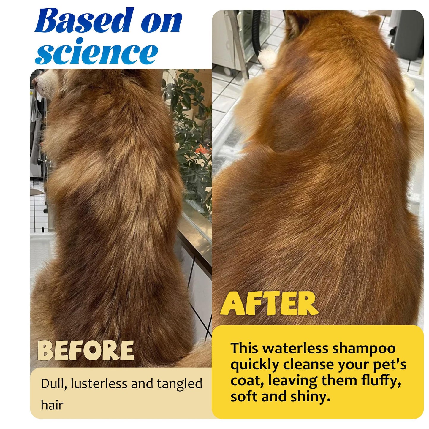 
                  
                    Petstoral Waterless Dog Shampoo No Rinse Puppy Dry Hypoallergenic Shampoo and Conditioner - Soothing and Deodorizing Quickly Cleans Smelly Dogs and Cats
                  
                