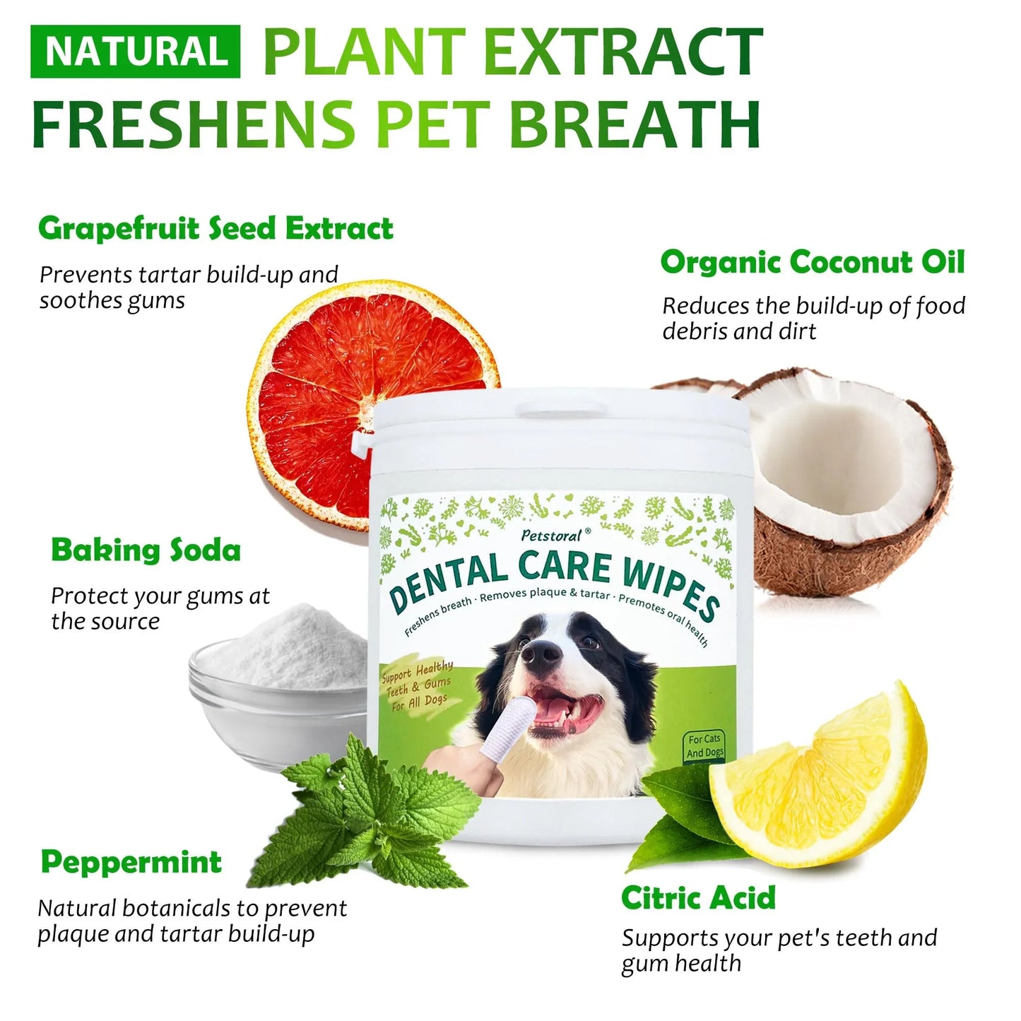 Petstoral Dental Care Wipes for Dogs and Cats, 50 Count, Teeth and Gum Cleaning, Plaque and Tartar Removal