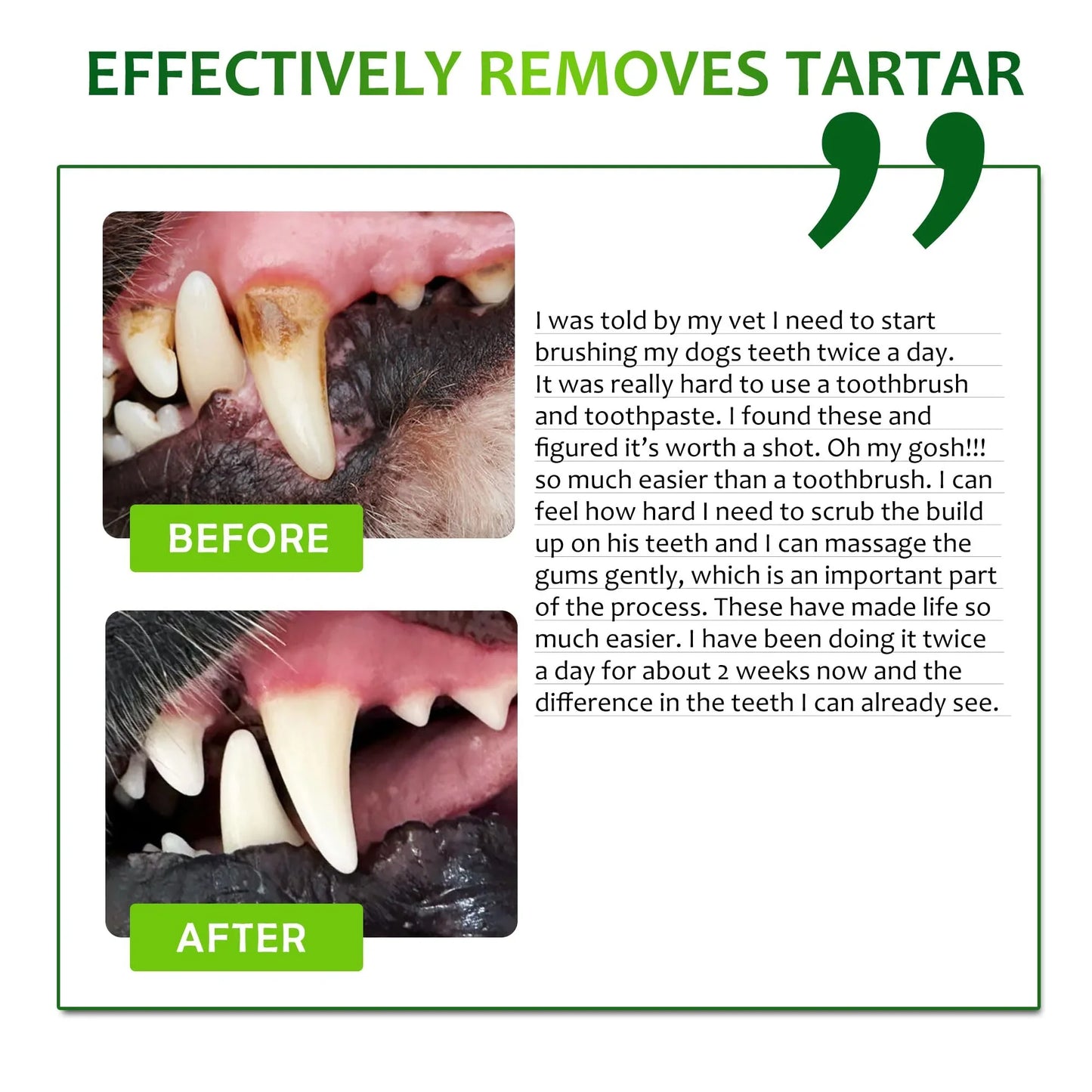 Petstoral Dental Care Wipes for Dogs and Cats, 50 Count, Teeth and Gum Cleaning, Plaque and Tartar Removal