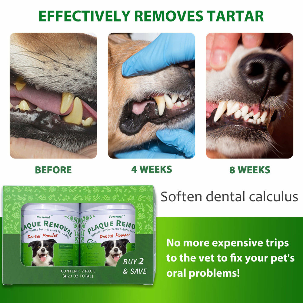 
                  
                    Plaque Removal Dental Powder 2-Pack, Dog Dental Care and Bad Breath Treatment, Dog Teeth Cleaning Powder for Healthy Teeth & Gums for All Dogs
                  
                