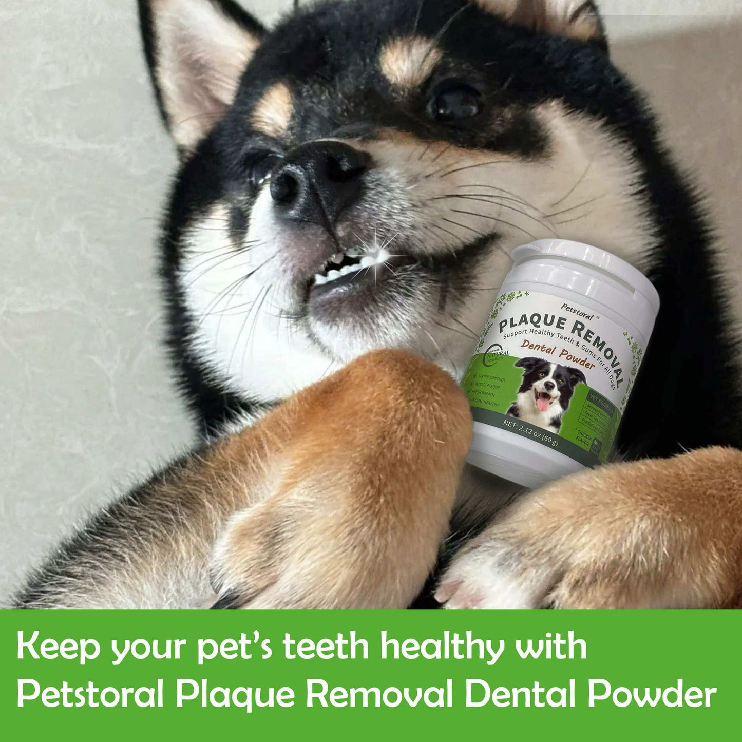 
                  
                    Plaque Removal Dental Powder 2-Pack, Dog Dental Care and Bad Breath Treatment, Dog Teeth Cleaning Powder for Healthy Teeth & Gums for All Dogs
                  
                